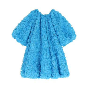 4054 ROSE | Azure